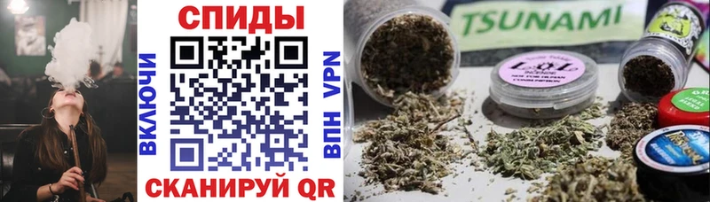 OMG рабочий сайт  Западная Двина  БУТИРАТ оксана 