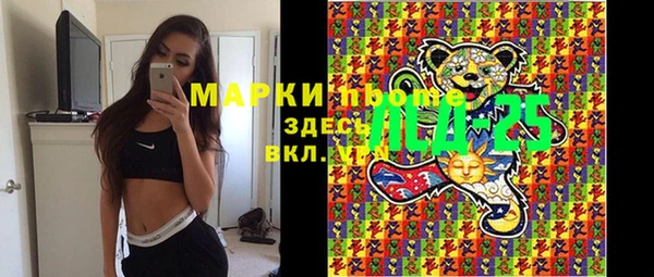 амф Бородино