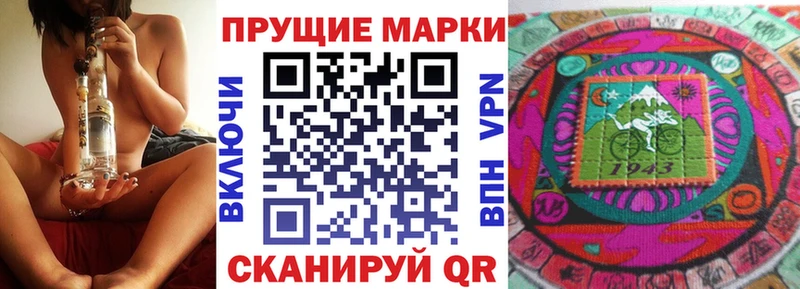 продажа наркотиков  Западная Двина  дарк нет клад  Марки N-bome 1,5мг  гидра ссылки 